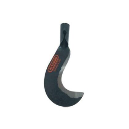 FOICE RS/SC 10 S/CABO 100446 PARABONI