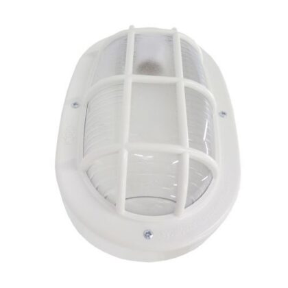 TARTARUGA PVC ILUMI BRANCA 16110