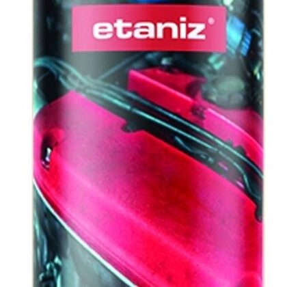 DESCARBONIZANTE SPRAY 300ml ETANIZ